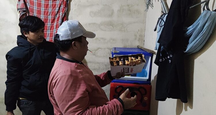 Tim Polsek Mentok