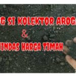 Kolektor Timah Ilegal