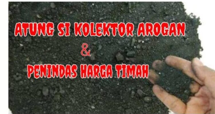 Kolektor Timah Ilegal