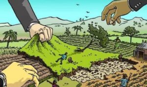 Jual Beli Tanah Ilegal